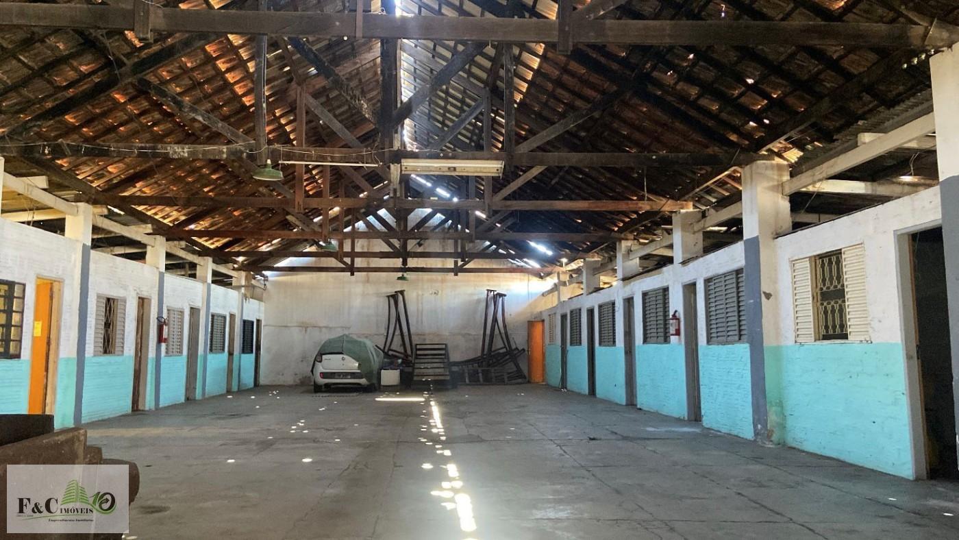 Depósito-Galpão - Foto 4