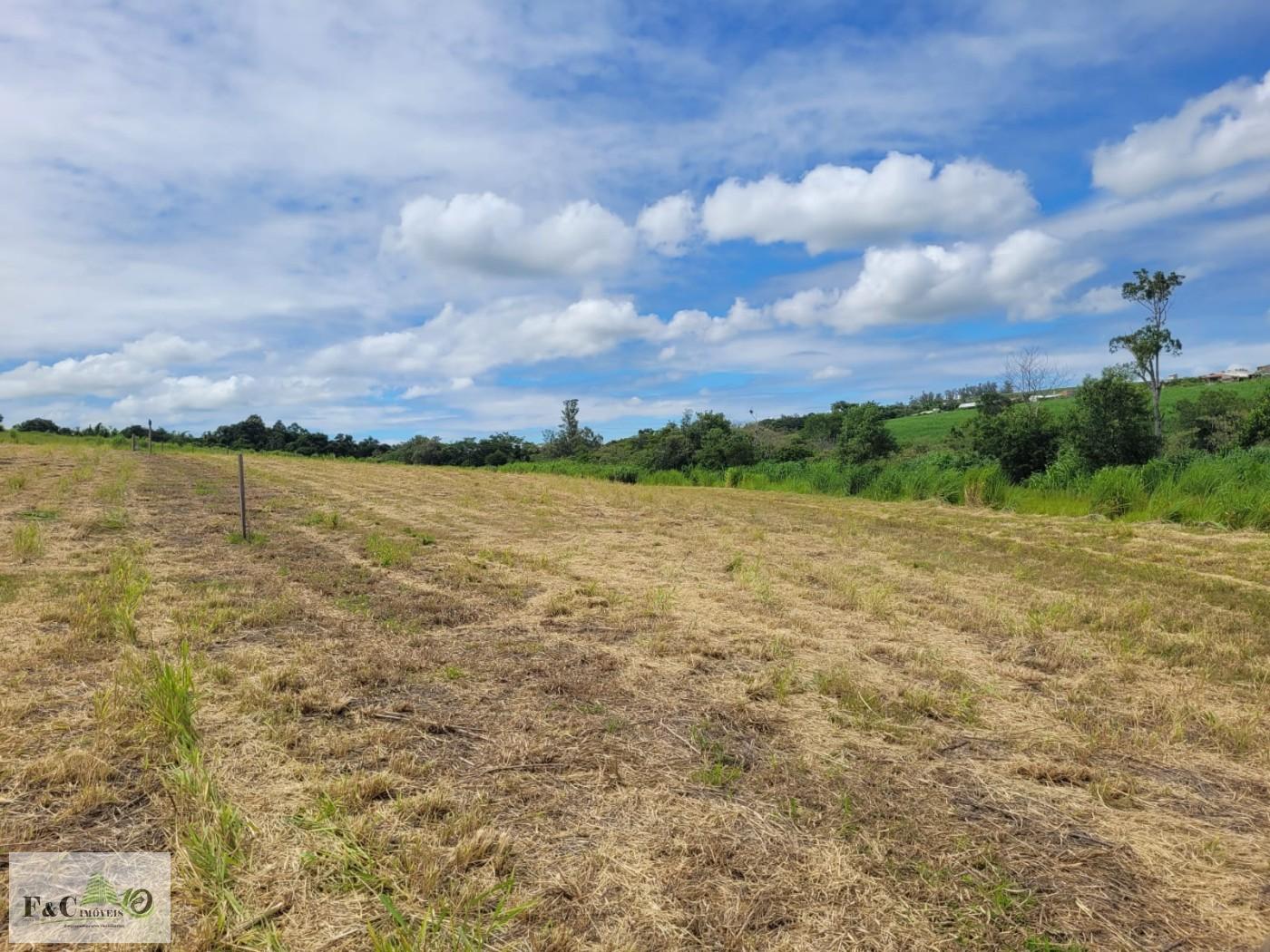 Fazenda, 2 hectares - Foto 3