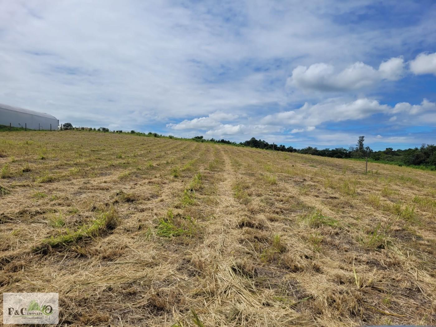 Fazenda, 2 hectares - Foto 2