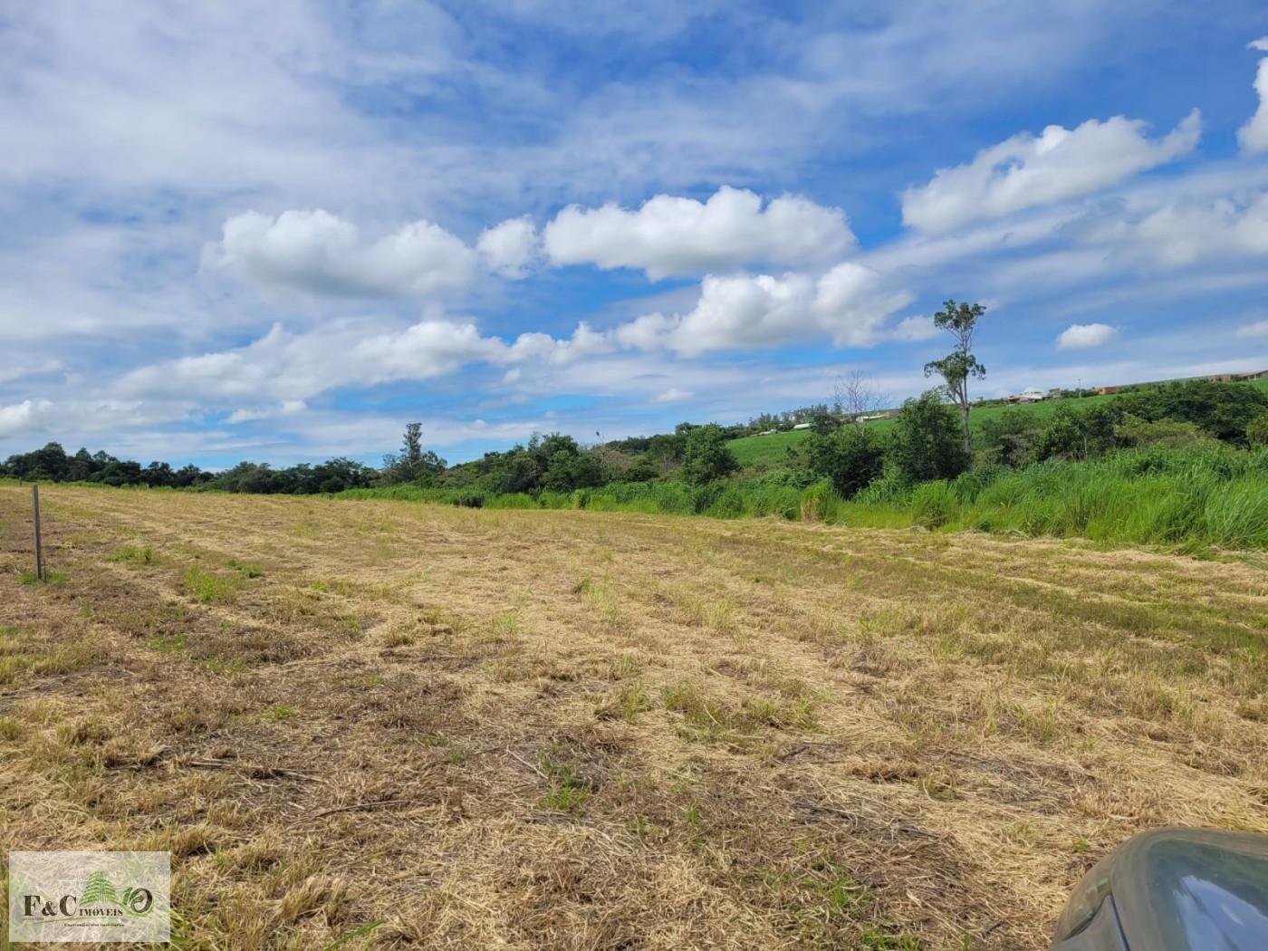Fazenda, 2 hectares - Foto 4