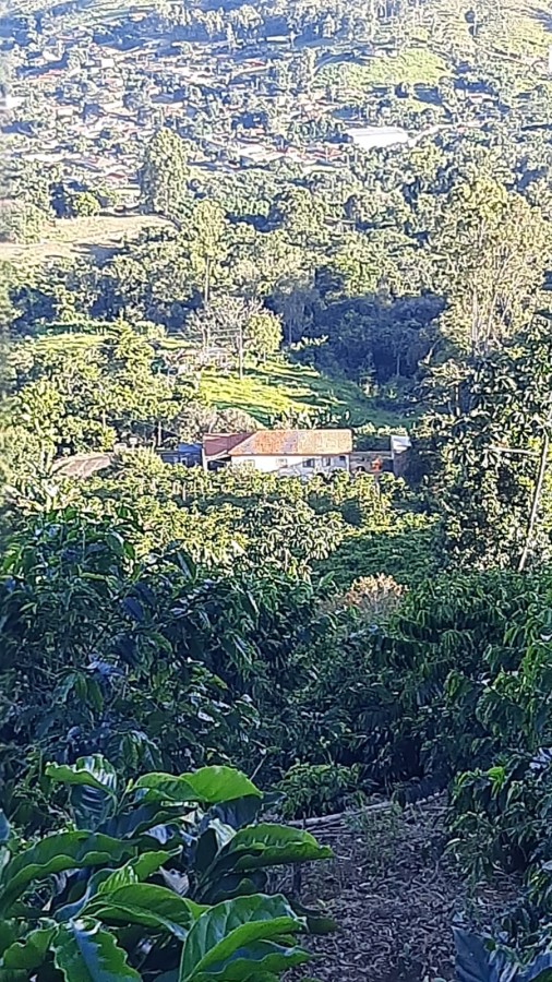 Fazenda, 4 hectares - Foto 9