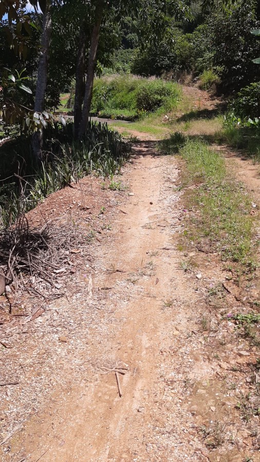 Fazenda, 4 hectares - Foto 23