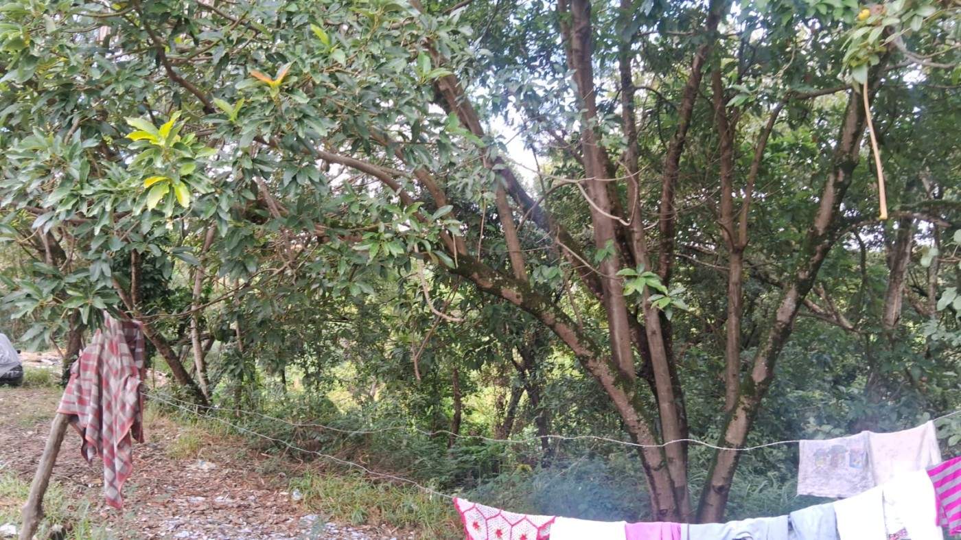 Terreno, 132 m² - Foto 16