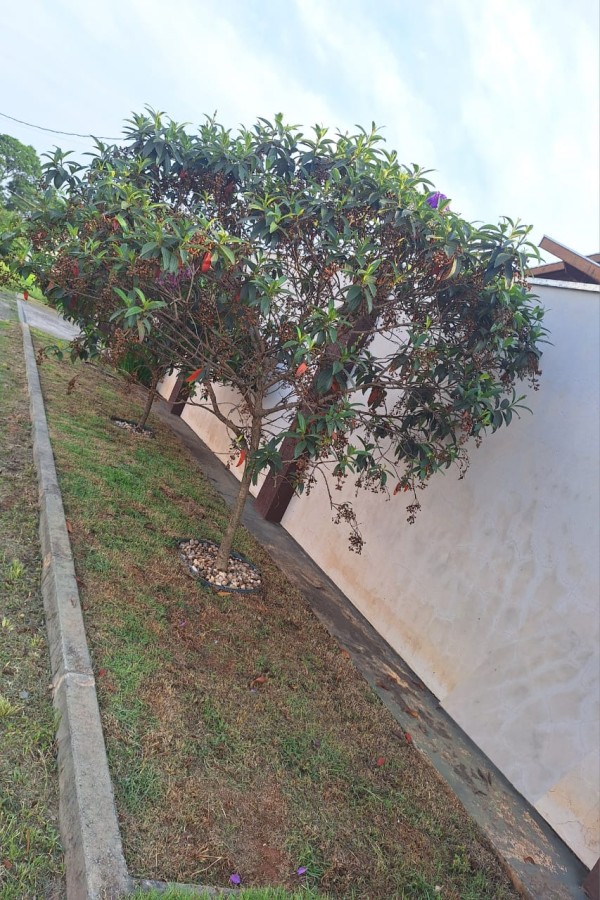 Fazenda, 4 quartos - Foto 14