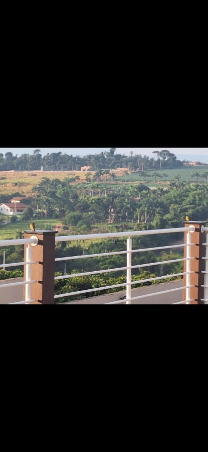 Fazenda, 4 quartos - Foto 21