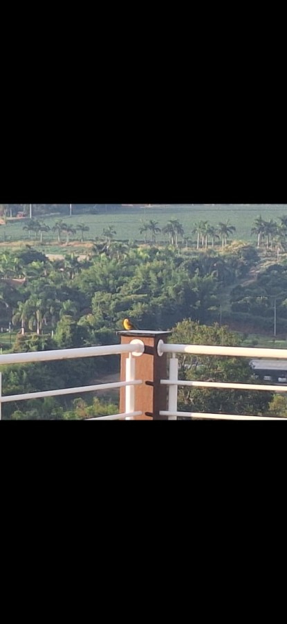 Fazenda, 4 quartos - Foto 47