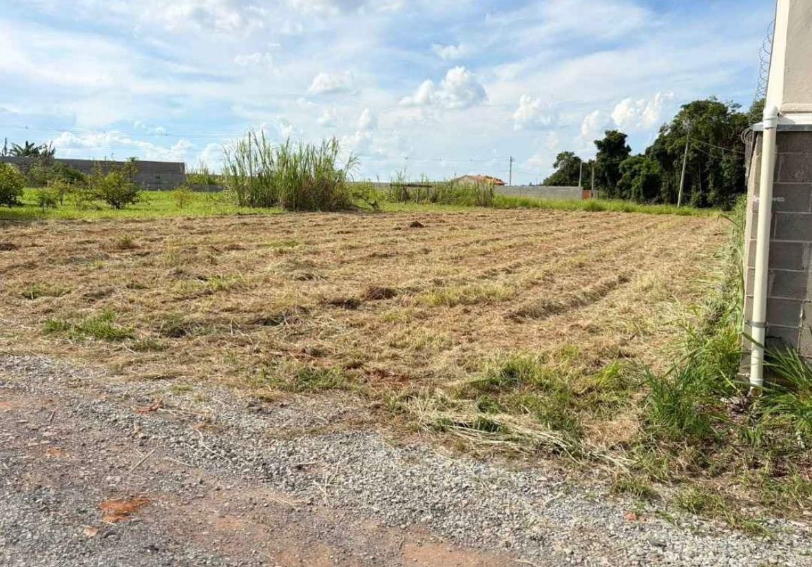 Terreno, 1000 m² - Foto 1