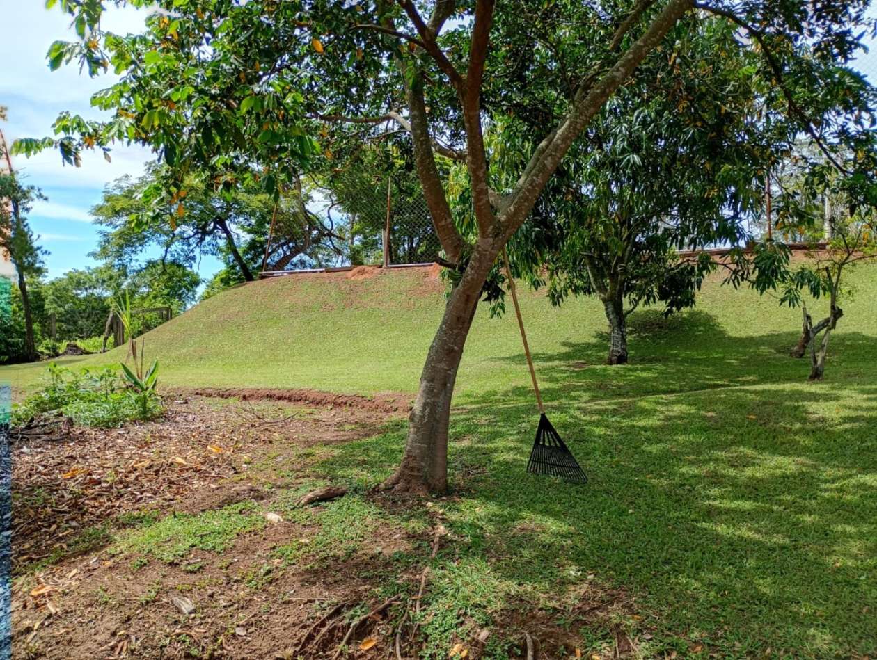 Fazenda, 1 hectares - Foto 2