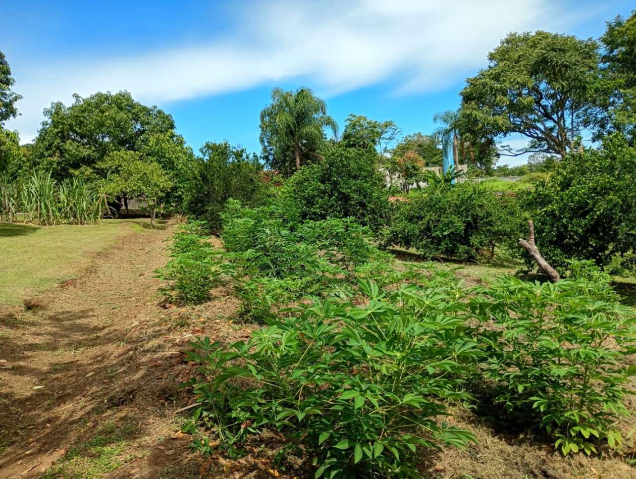 Fazenda, 1 hectares - Foto 3