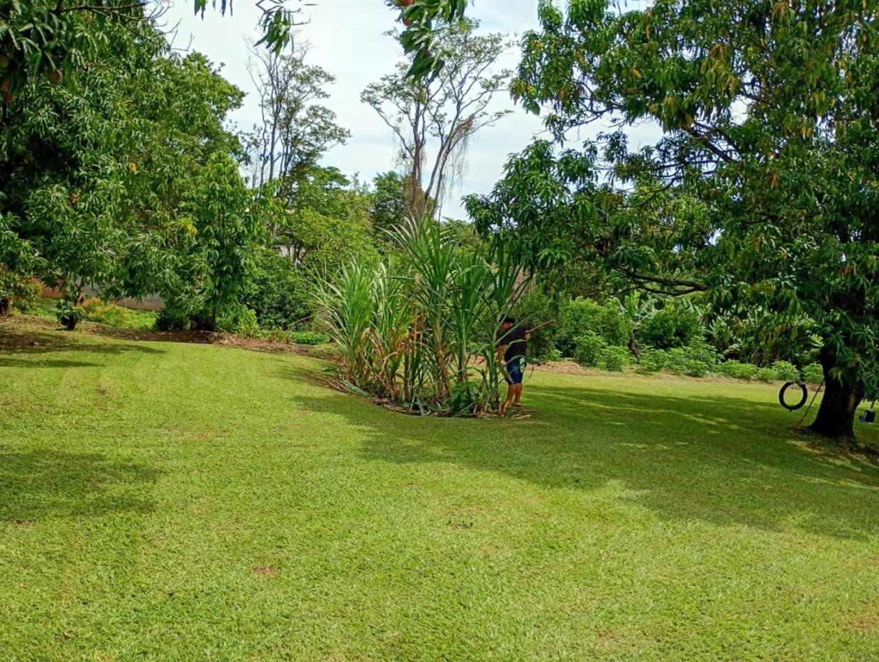 Fazenda, 1 hectares - Foto 7