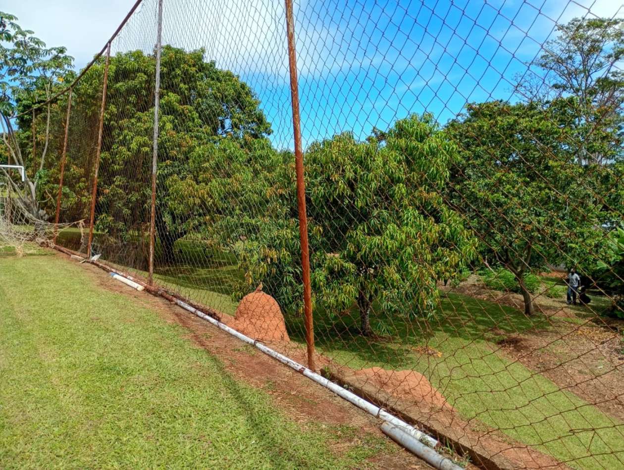 Fazenda, 1 hectares - Foto 8