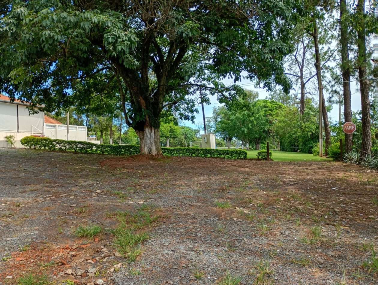 Fazenda, 1 hectares - Foto 11