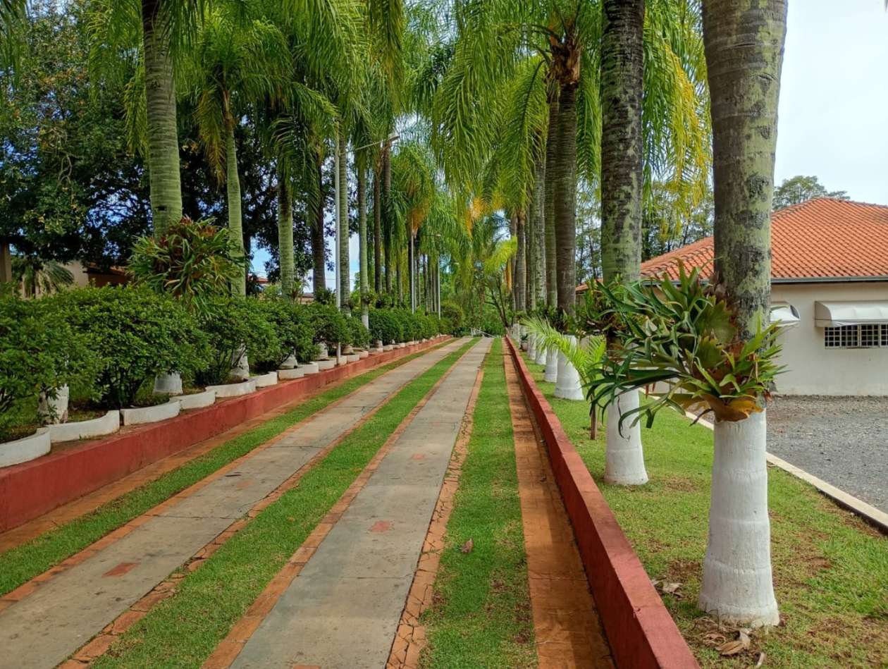 Fazenda, 1 hectares - Foto 19
