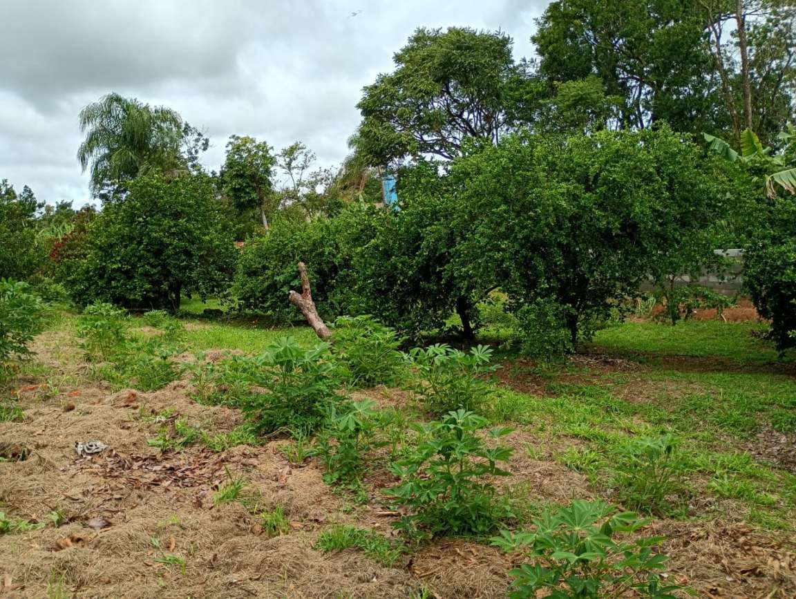 Fazenda, 1 hectares - Foto 24