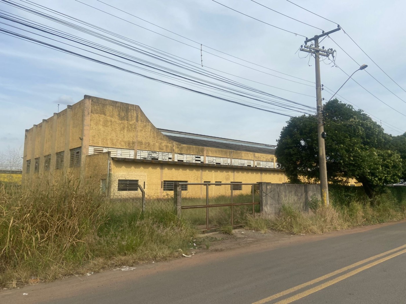 Depósito-Galpão - Foto 1