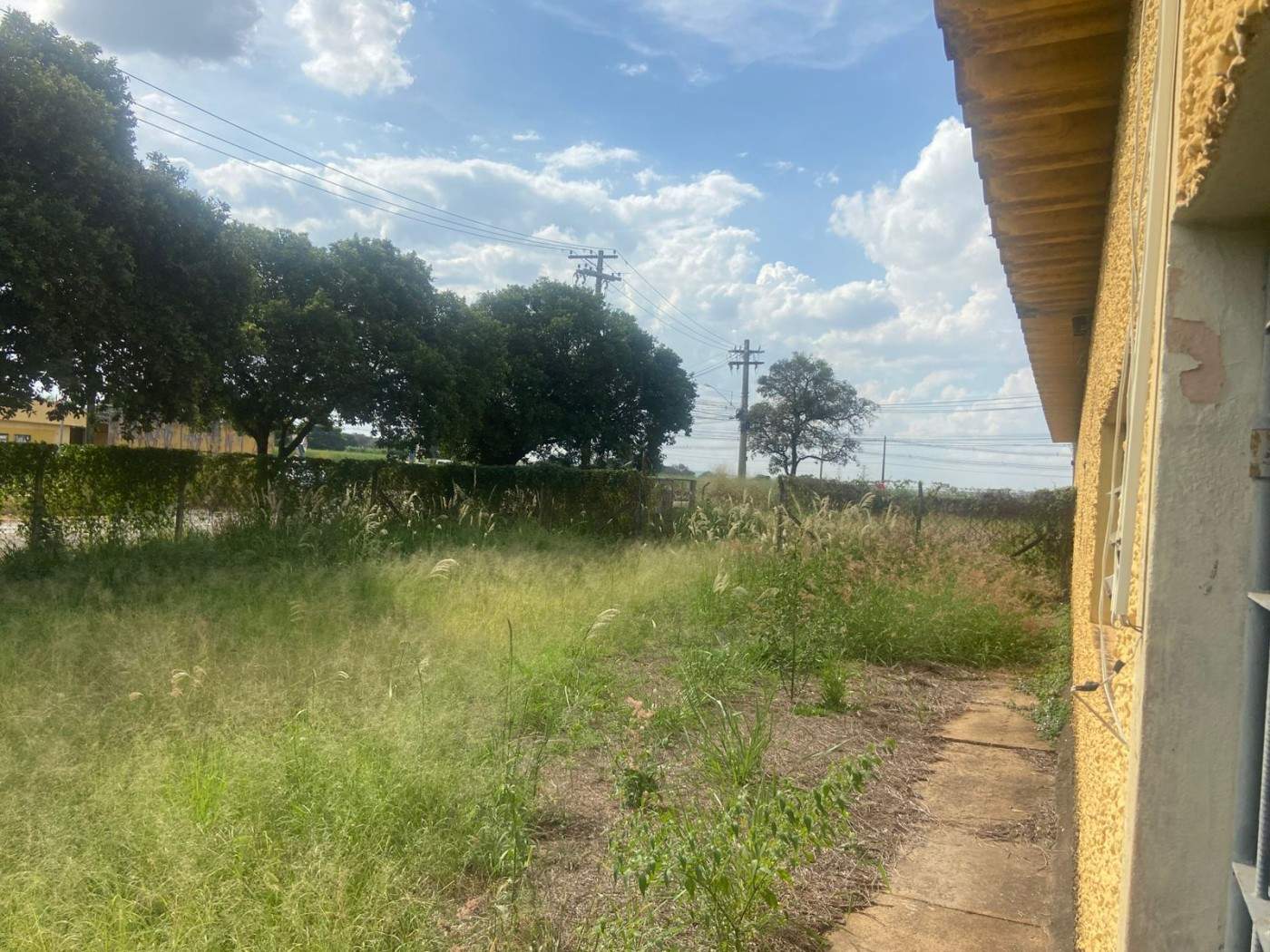 Depósito-Galpão - Foto 28