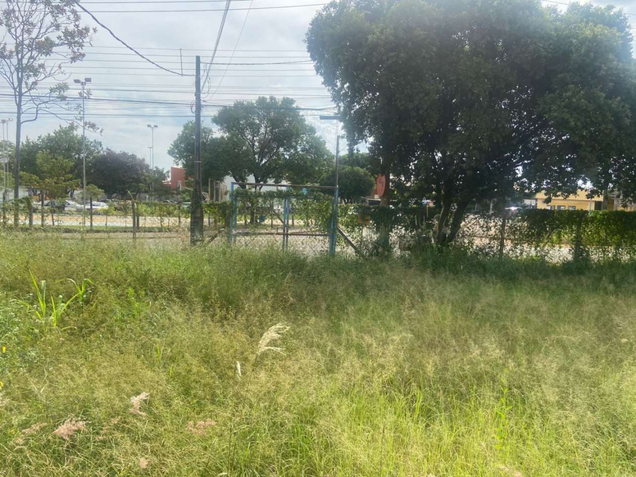 Depósito-Galpão - Foto 29