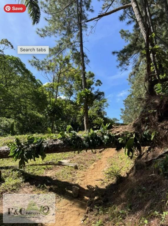 Terreno, 3 hectares - Foto 8