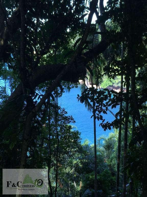 Terreno, 3 hectares - Foto 7