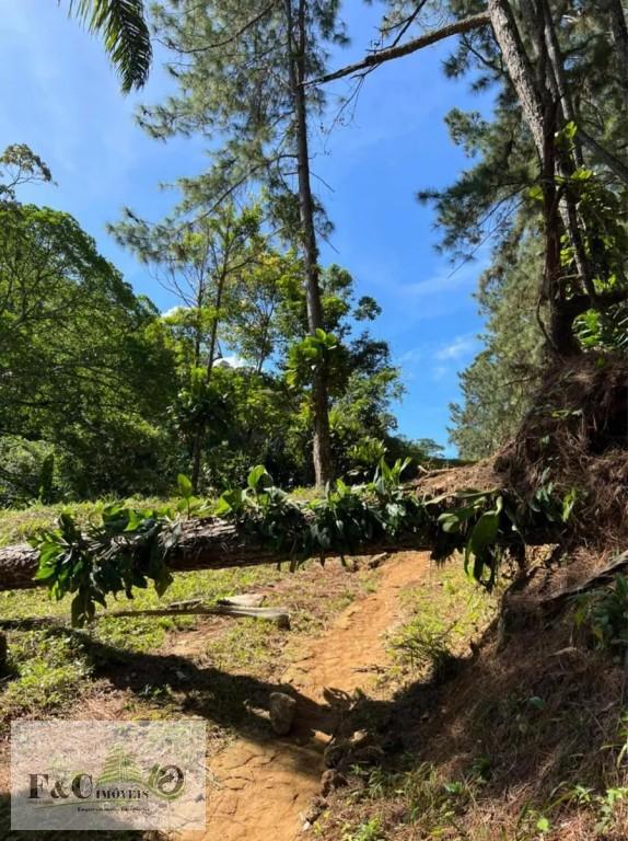 Terreno, 3 hectares - Foto 11