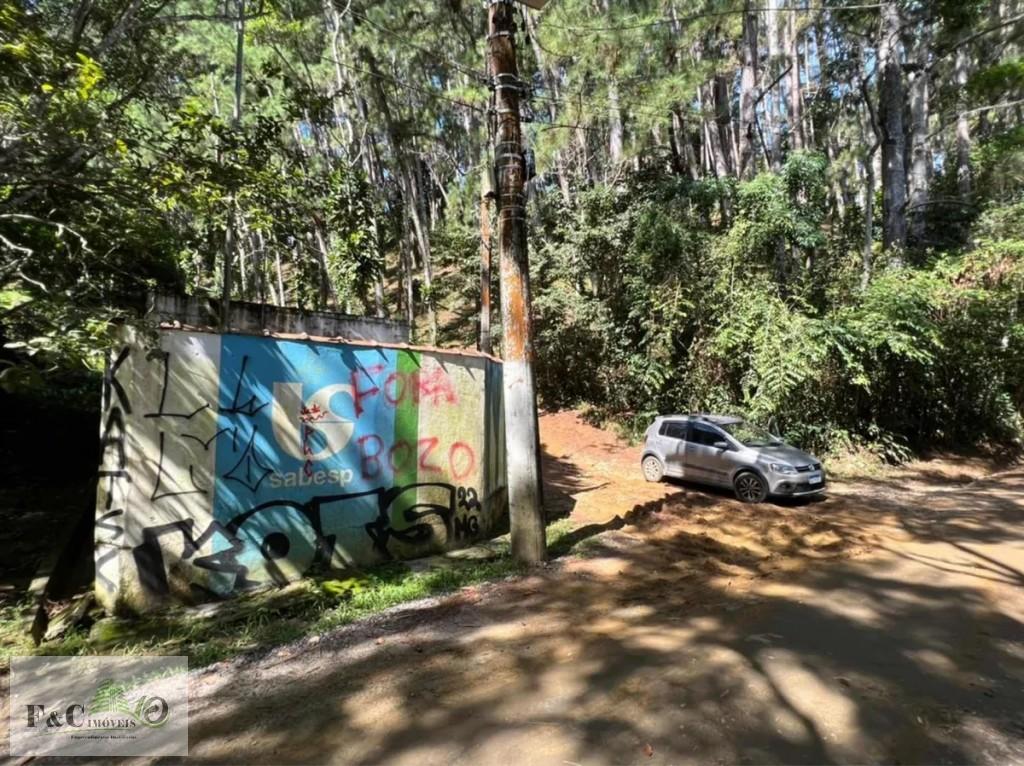 Terreno, 3 hectares - Foto 10