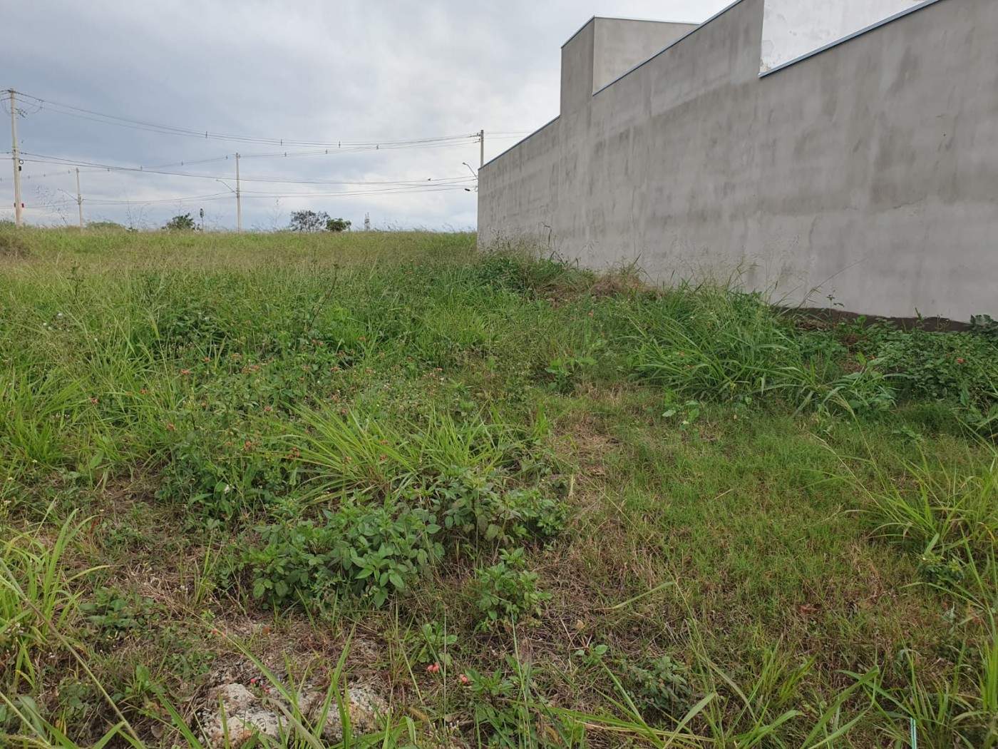 Terreno, 200 m² - Foto 5
