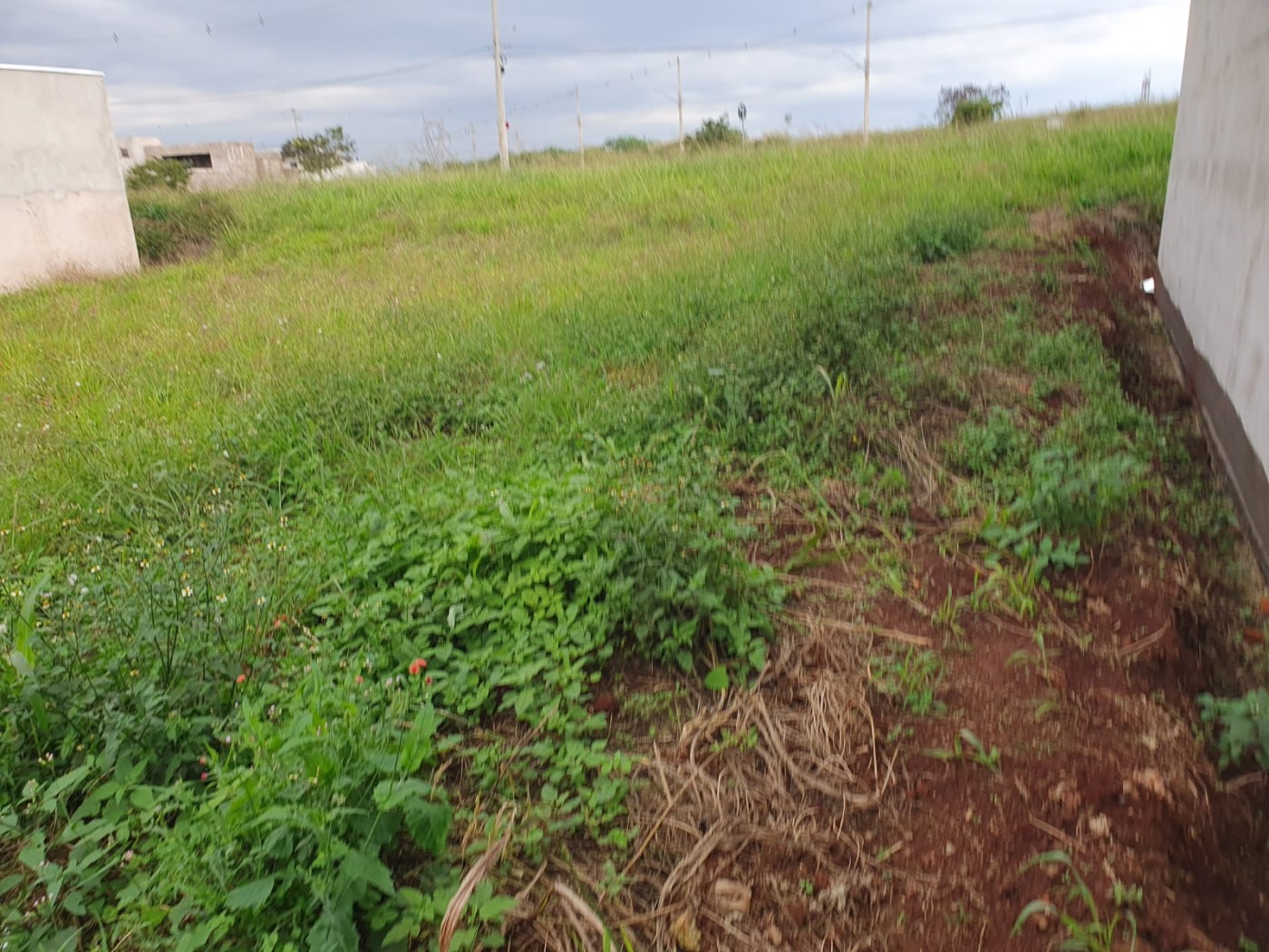 Terreno, 200 m² - Foto 8