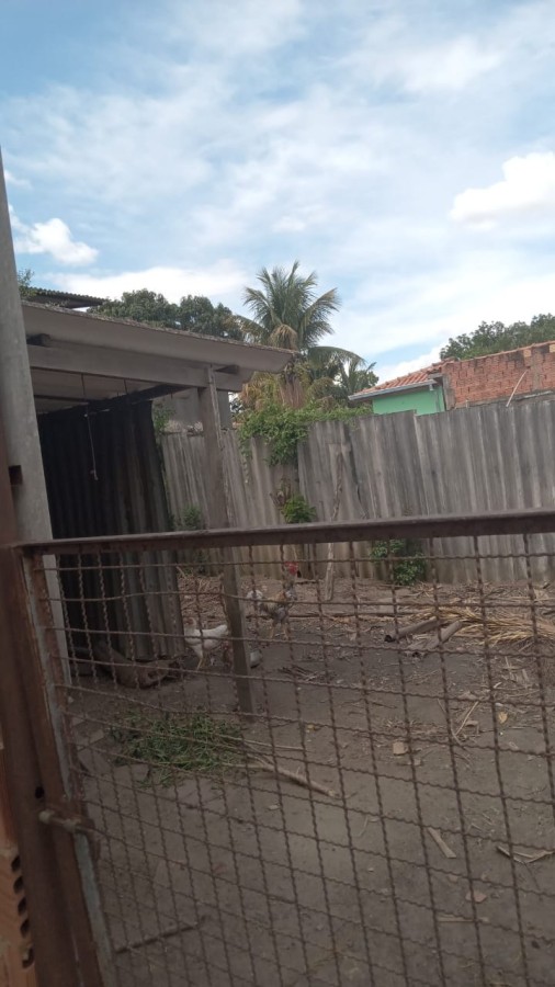 Chácara, 2 quartos, 2500 m² - Foto 7