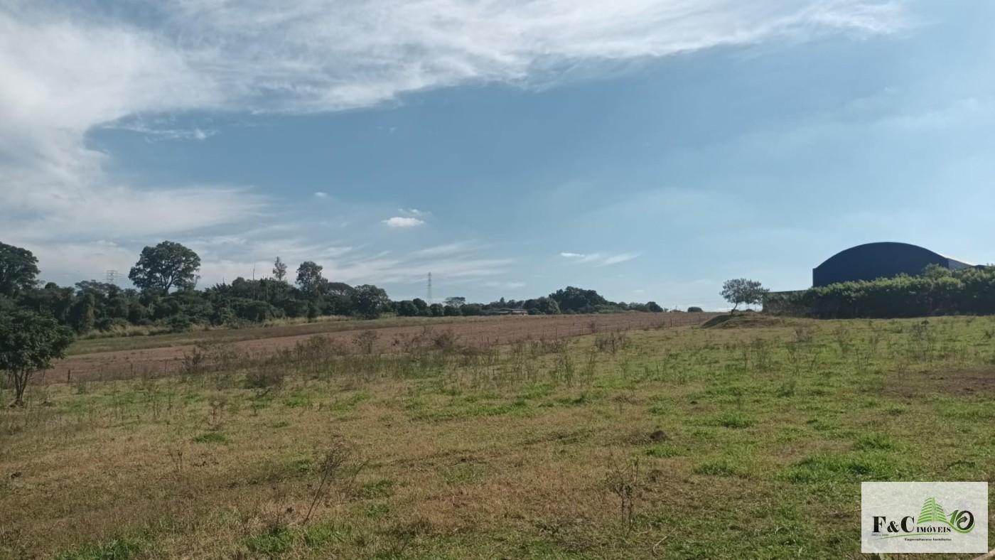 Terreno, 5000 m² - Foto 10