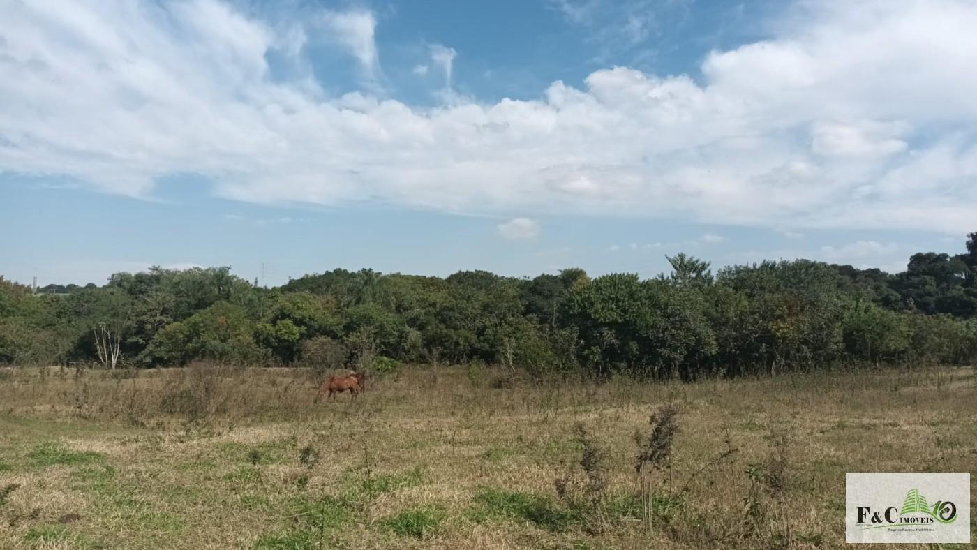 Terreno, 5000 m² - Foto 13