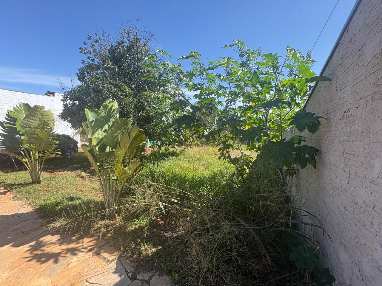 Chácara, 2 quartos, 1000 m² - Foto 10