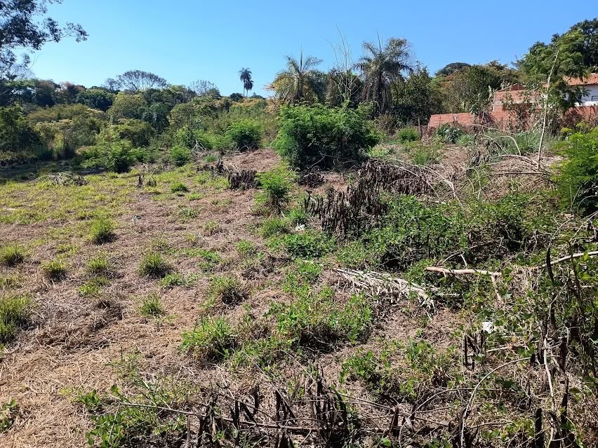 Terreno, 5000 m² - Foto 15