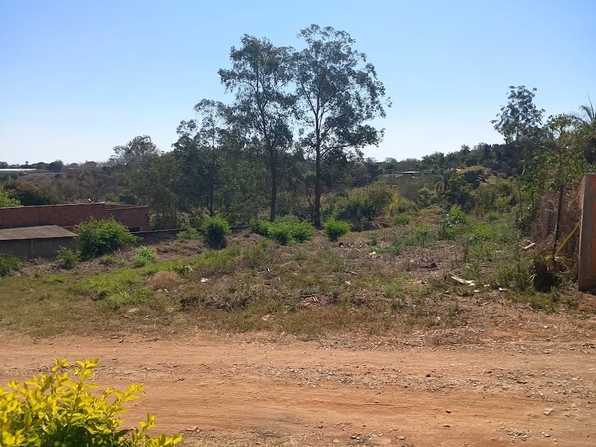 Terreno, 5000 m² - Foto 12