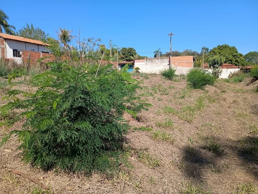Terreno, 5000 m² - Foto 14