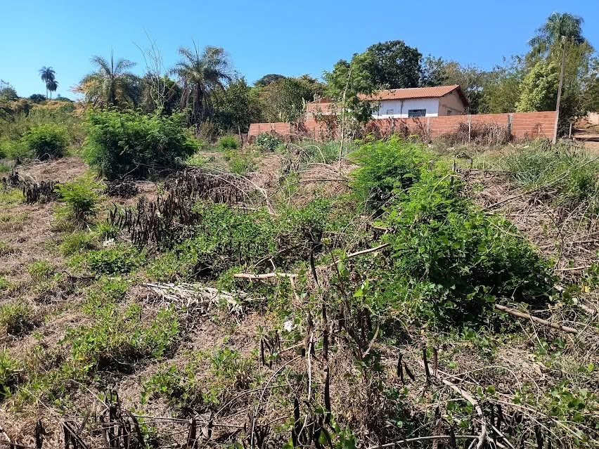 Terreno, 5000 m² - Foto 17