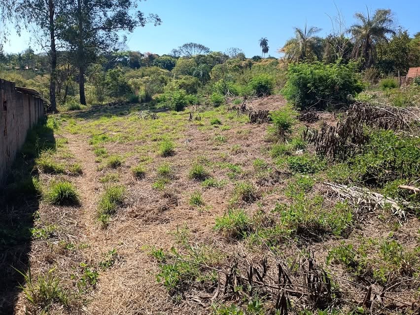 Terreno, 5000 m² - Foto 16