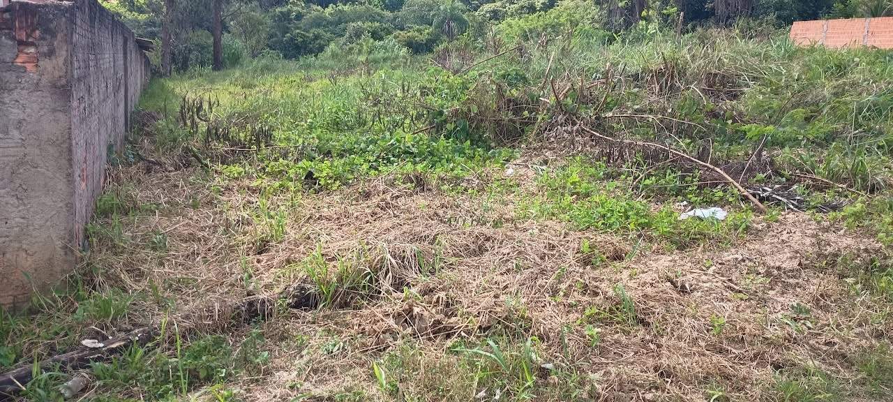 Terreno, 5000 m² - Foto 21