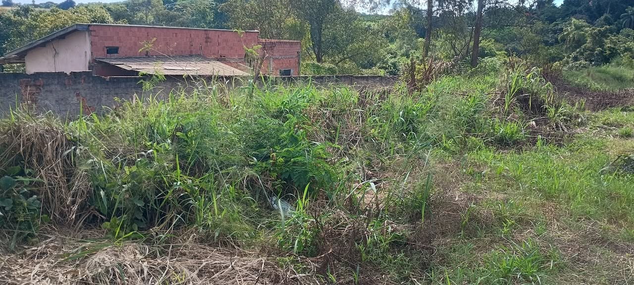 Terreno, 5000 m² - Foto 24