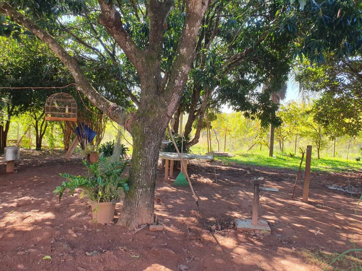 Chácara, 1 quarto, 7000 m² - Foto 44