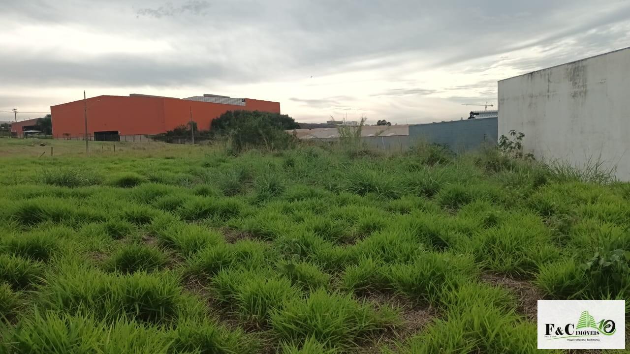 Terreno, 2734 m² - Foto 7