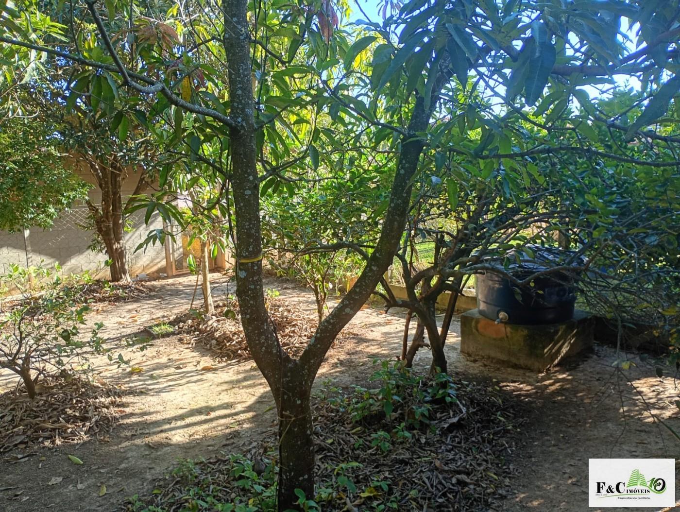 Fazenda, 1300 m² - Foto 4