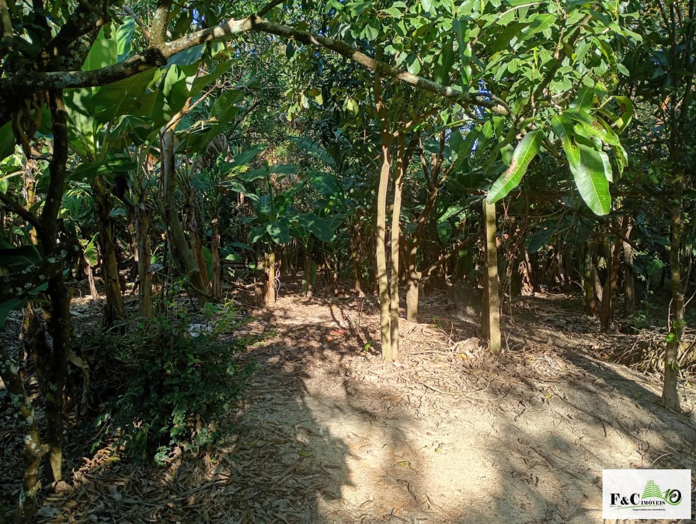 Fazenda, 1300 m² - Foto 5