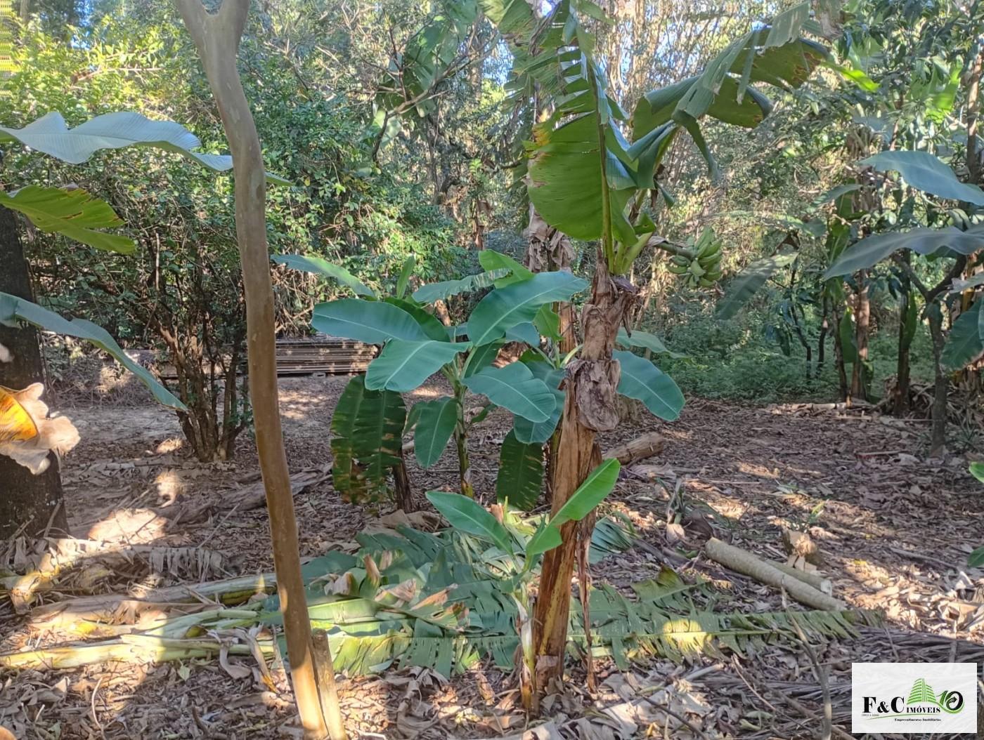 Fazenda, 1300 m² - Foto 16
