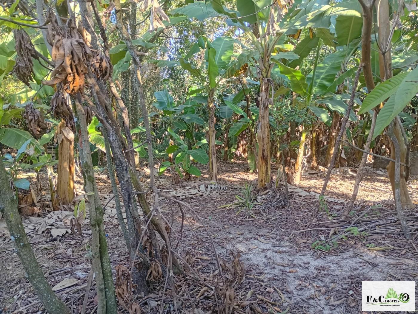 Fazenda, 1300 m² - Foto 17