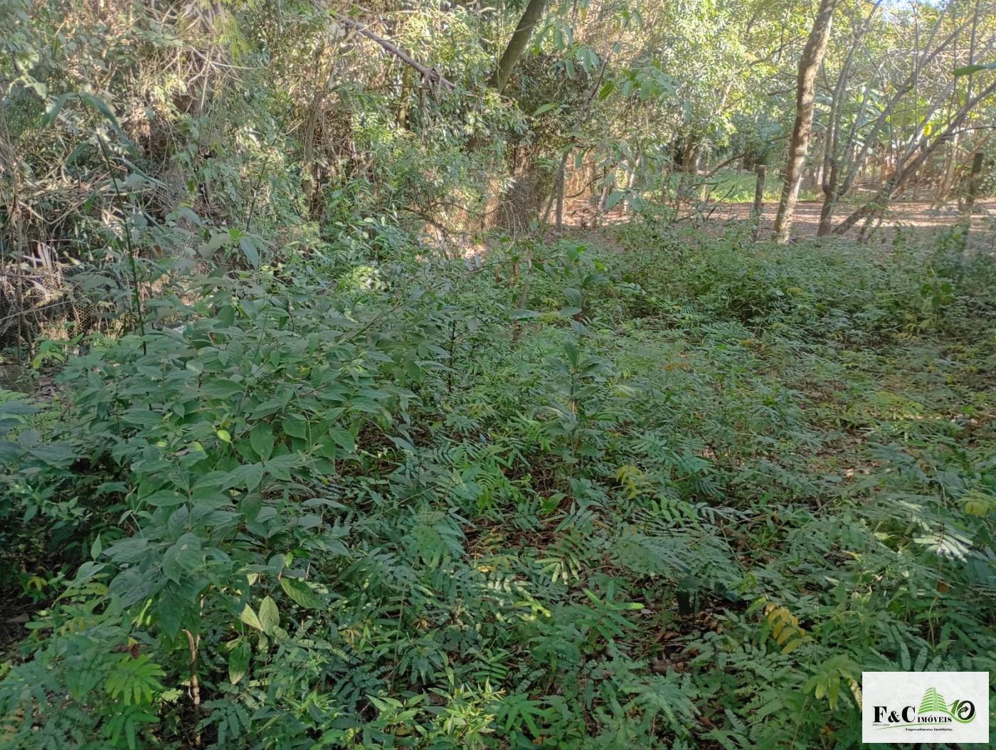 Fazenda, 1300 m² - Foto 24