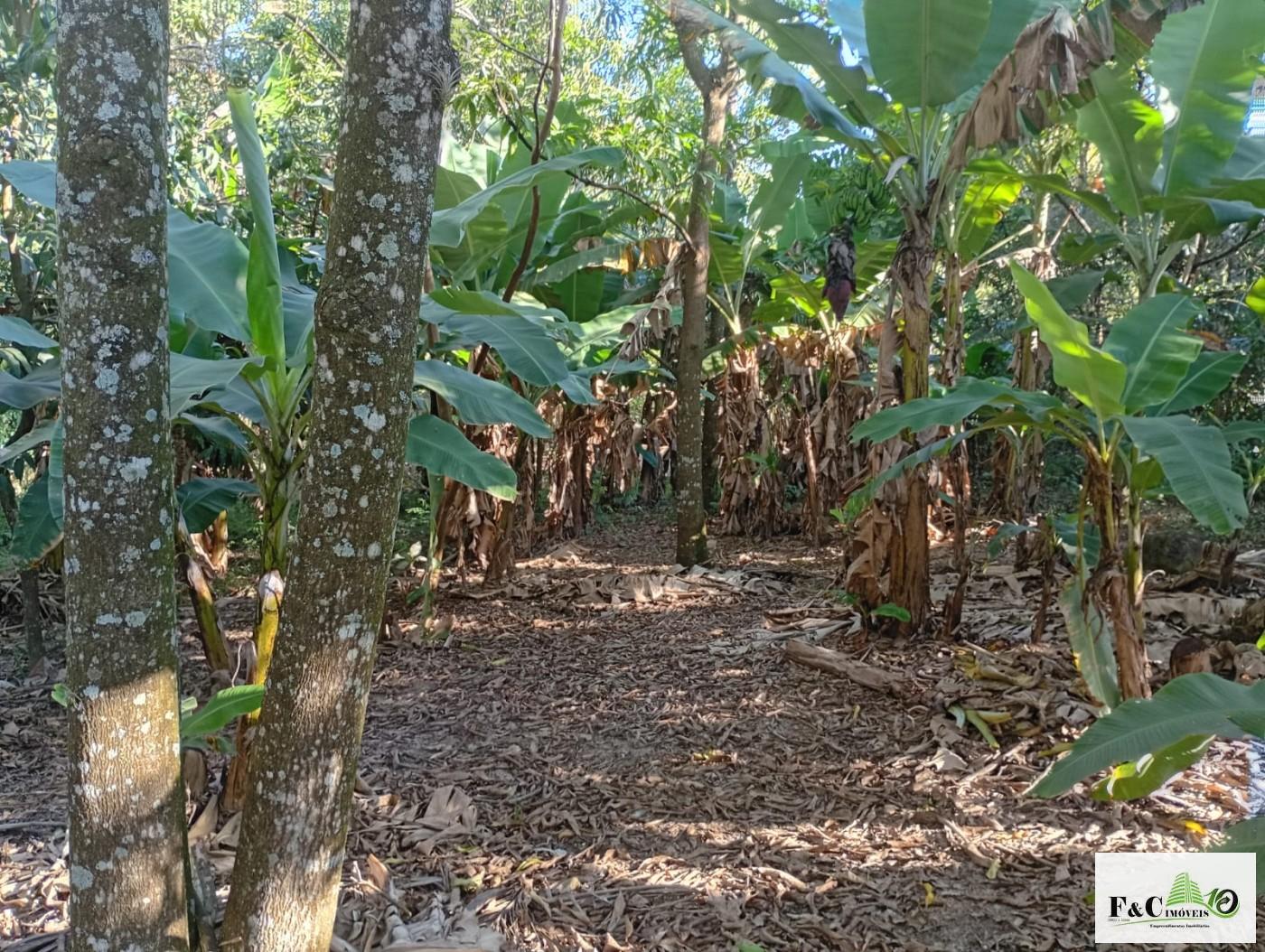 Fazenda, 1300 m² - Foto 30