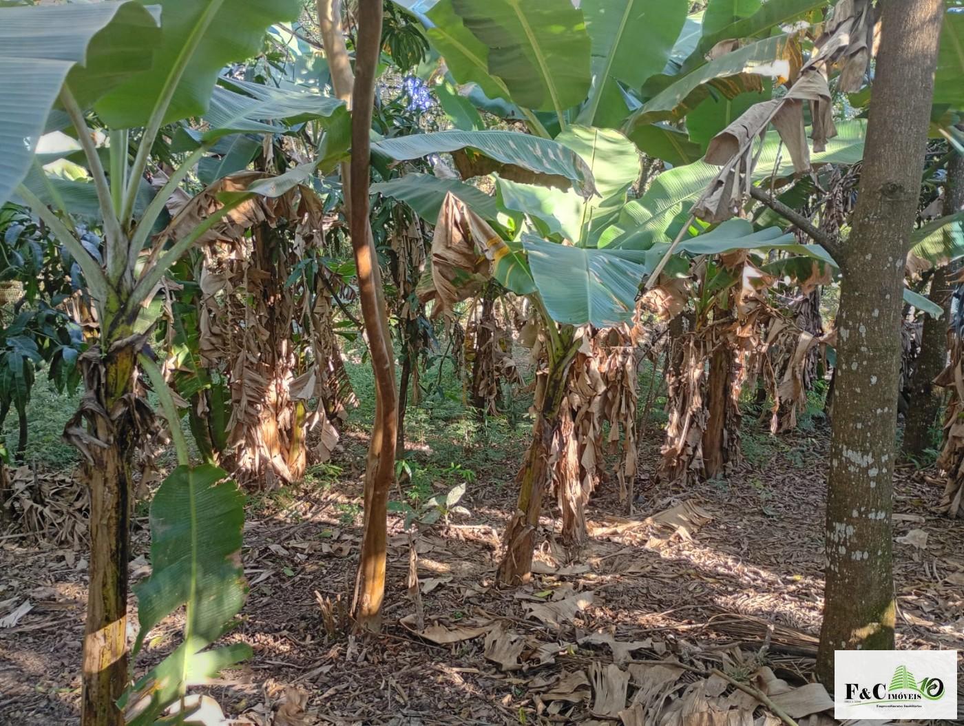 Fazenda, 1300 m² - Foto 33