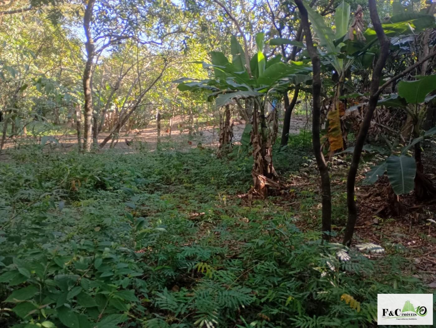 Fazenda, 1300 m² - Foto 42