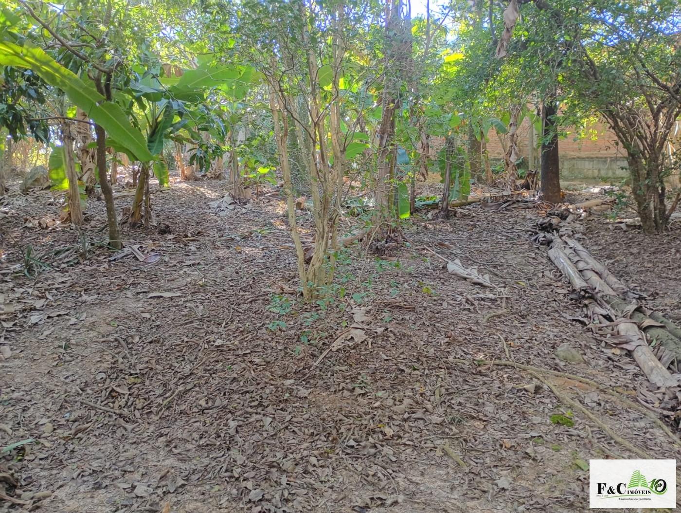 Fazenda, 1300 m² - Foto 41
