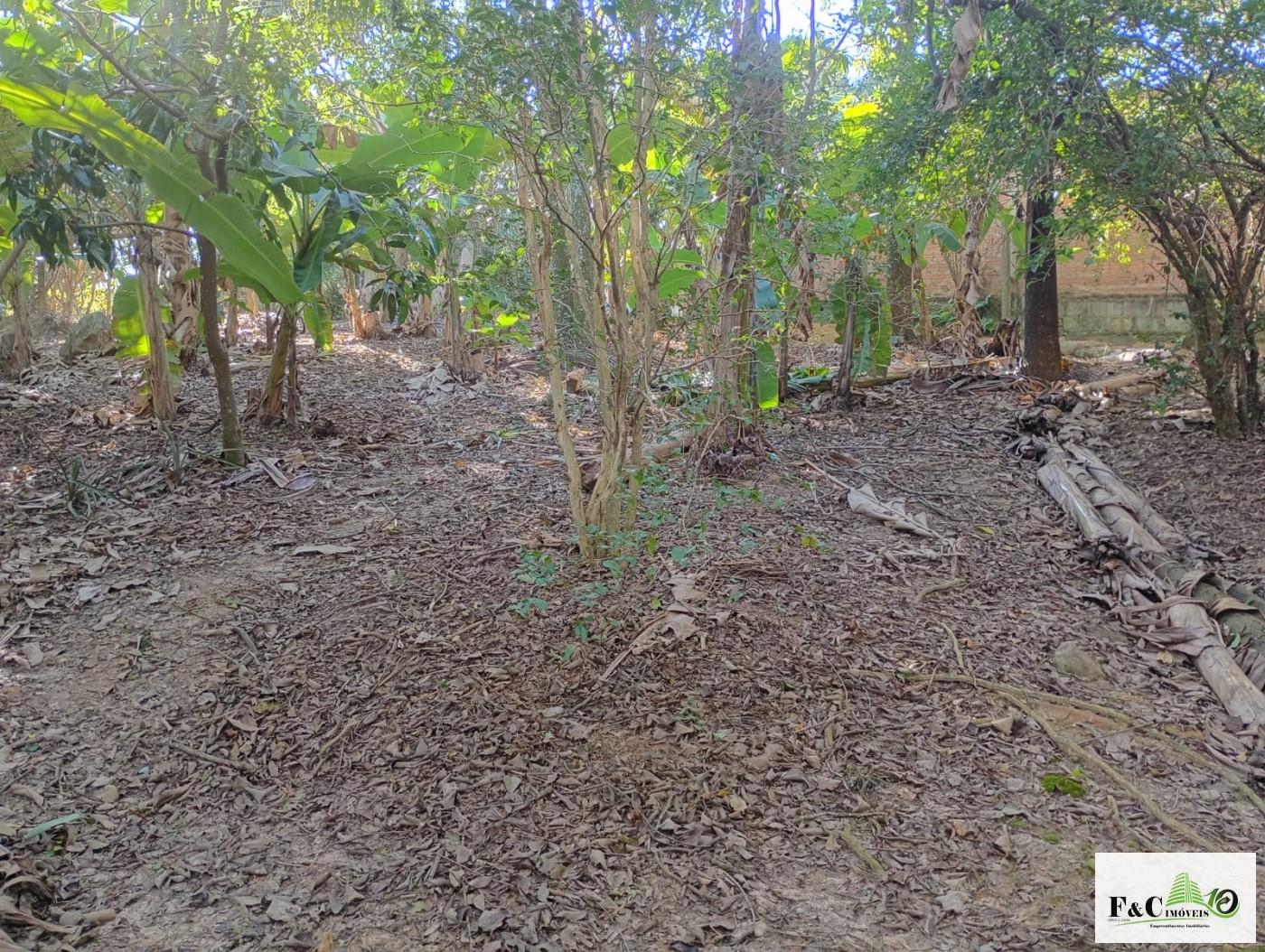 Fazenda, 1300 m² - Foto 44